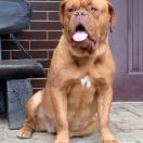 WARNA ex Cubile Lamia