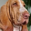 What Ever You Want ATALANTA