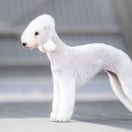 YOU LOOK AT ME Mushanga