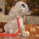 ЮВЕТТА ХАНТИ