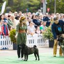 Zolotoye Chudo Wild West Gang