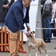 IMAGINE Diamond Staff