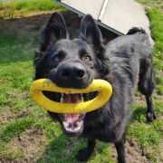 HINATA z Rudzkiej Watahy