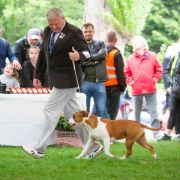 URANIA Pokerowy Żywot 