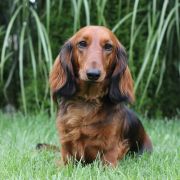 HUNTAKS Emotion Beauty 