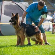 Jessy von der wilden Dreizehn