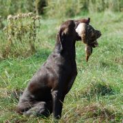 SZANTA ze Snu Nemroda