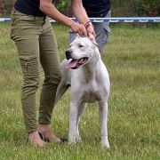 TRANQUERA DEl Ojo en la Mano 