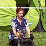 COLETT z Krainy Fiony FCI