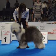 FINEZJA z Włochatej Chaty