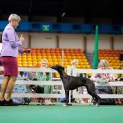 AWAMORI Ballada o Wędrowaniu