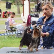 OLYMPUS ANGEL'S LIGHT