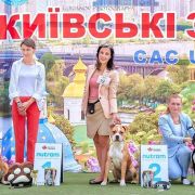 Quest For Perfection Via Fortuna