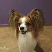 AMBRE RONTAY FAVORI DE LA REINE