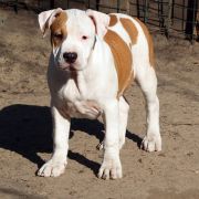 I’D DO ANYTHING FOR LOVE z Wiślanego Portu