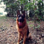 DIEGO del Castello Fienga 