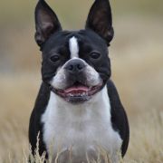 Christian Dior Salamanka