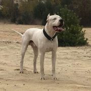 TANQUECITO DEL Ojo en la Mano 