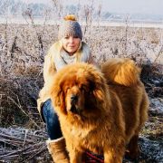 GVR Uzzi Mya to Mi-Tsang 