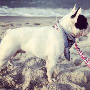 VALEGRA Malure MeiMei