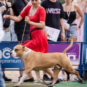 BORN FOR YOU VIA FORTUNA LONG STEP