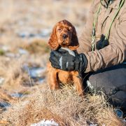 DEJA VU MATRIX Ginger State of Mind