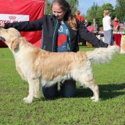  Ch. Swift Spoor-Finder Kattyval 