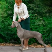ROSSANA STELLA BIANKA
