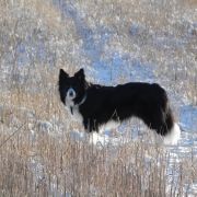 MISSISSIPI RIVER Dajavera (FCI ,,MISSI