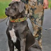 A BIG SUPRISE Your Destiny FCI