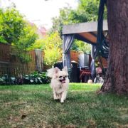 BAILEY Someone for All