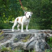 z Grabskiego J.LO.BOO