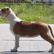 NOTHING GONNA STOP US z Wiślanego Portu