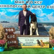 Raymi Always With You Kattyval (Texac)