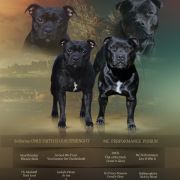 Yupiter, Yolie, Yasmin