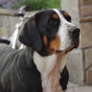 Grosser Family Barbara De Asti