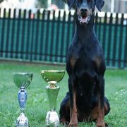 Aurora Valle di Rose