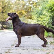 Monika Piece Of Soul