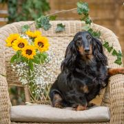 Ula La Hokus Pokus z Perłowej 