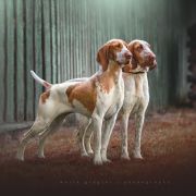 Naomi di Val Ravanaga