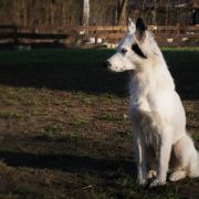 MISJA Zimowy Zmierzch 