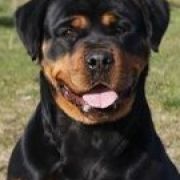 ELENA Od Wodnika i Wagi