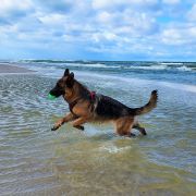 LEIKA Asarko Lordana