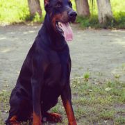 Sapphire s Gostinogo Dvora 