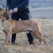 Clinio di Colle Manzu