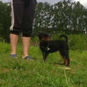 ORTU STELLA FORTUNATA NENSI
