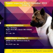 MOLLY Rancho Amerdog