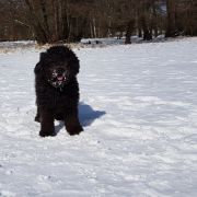 NICCI Au Domaine De PEYCHEC