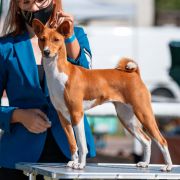 J.Ch.Pl CH-PL. SMOKE ON THE WATER the Red Ranch