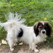 JUDY Beautiful Secrets(FCI)